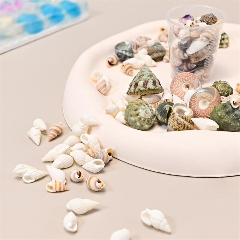 Art Craft Description - Natural Conch Shells Art Supplies Conch