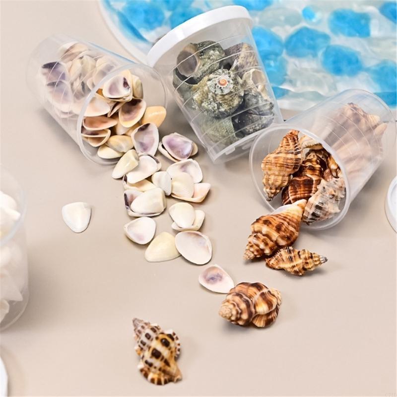  Natural Conch Shells Art Supp - Art Craft Description ulasan dan harga